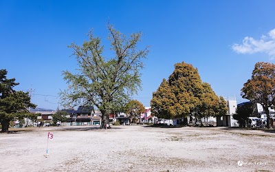 日ノ出広場（妖木の公園）