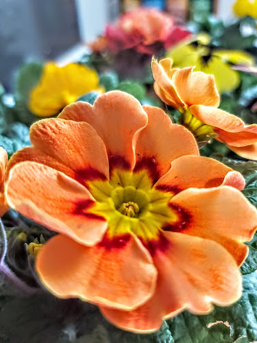 R.O.D "Nad Nielbą" - Stowarzyszenie