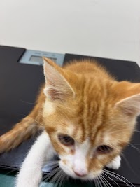 トーリーメイト寒川店