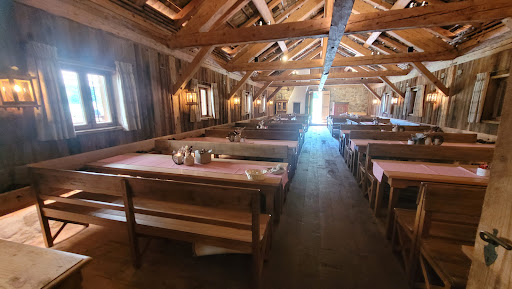 Saurüsselalm - Visual