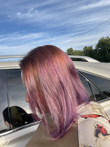 Cheveux a Salon, LLC Gallery - United States
