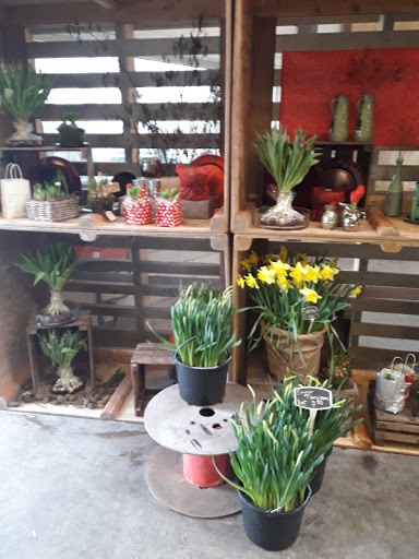 A. A. van der Vlugt and Zn. Flowers and Bulbs - Thumbnail