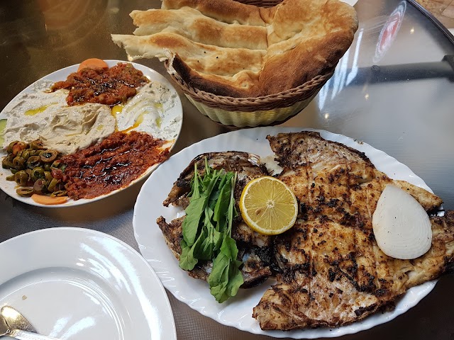 Turkish Palace Restaurant مطعم القصر التركي