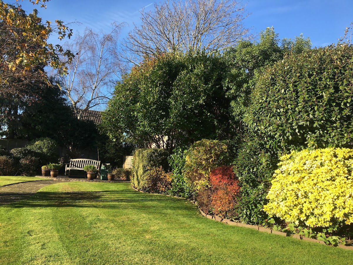 Mike Johnson Property Care
