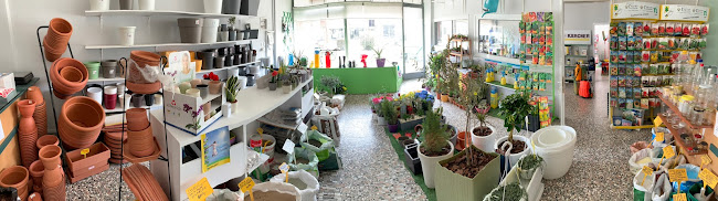 ΓΑΓΑΤΣΗΣ ΓΕΩΠΟΝΙΚΑ - Παλαμάς