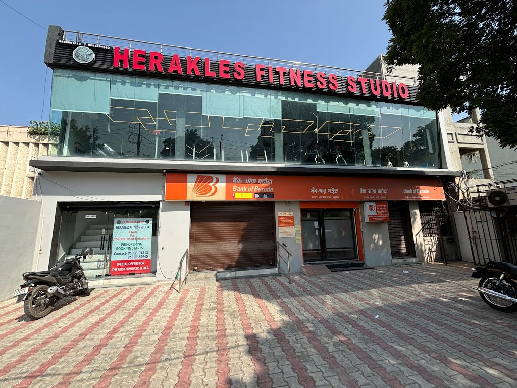 Herakles Fitness Studio Best Gym In Jalandhar
