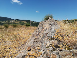 Photo n°15 de Chez MARY, Chambres d'Hôtes, Ardèche à Vanosc (Séminaire)