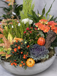Photo n°17 de Atelier Azra à Biache-Saint-Vaast (Fleuriste grossiste)