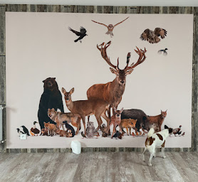 Photo n°13 de ARHAN DECORATION PEINTURE à Audierne (Magasin de papiers peints)