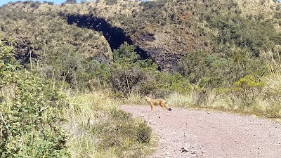 Photos of Checkpoint Cayambe Coca Ecological Reserve