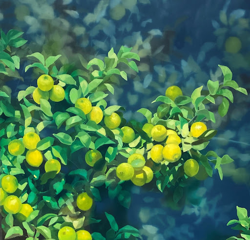 Washington Gallery - Visual