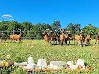 La ferme de la Jaudraie à Pruniers-en-Sologne