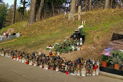 Photos of Antakalnis Cemetery