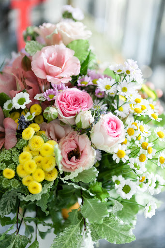 Aroa's flowers - Visual