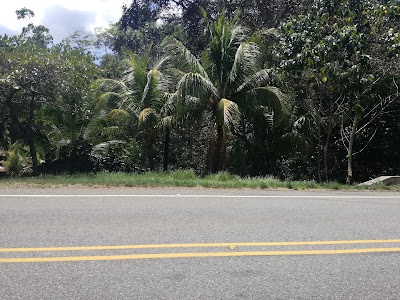 Photos of El Brujo