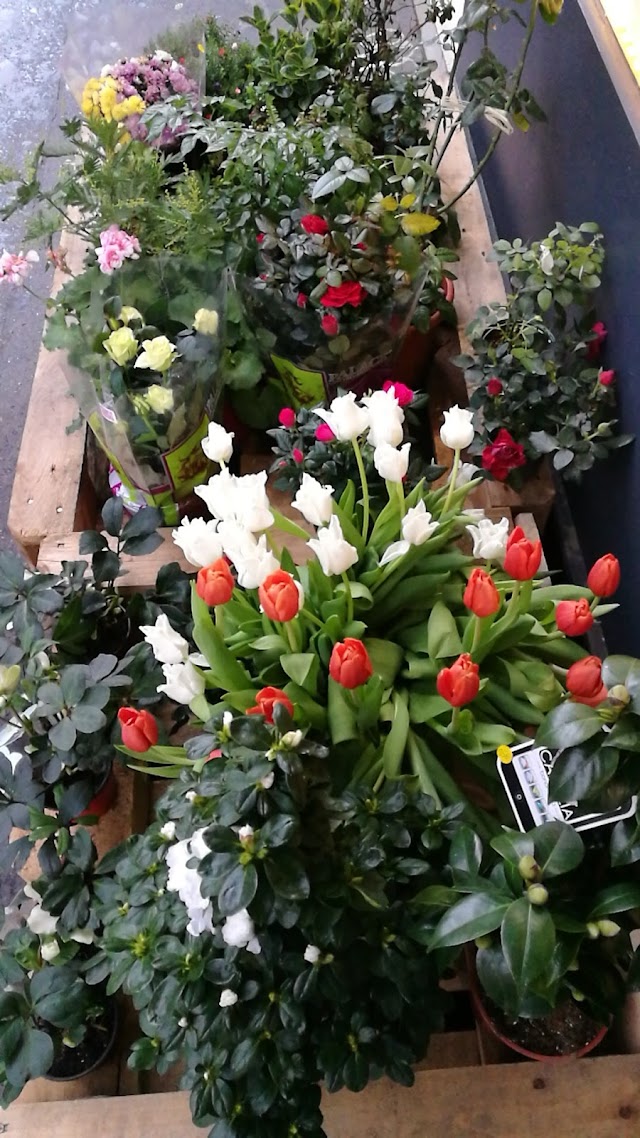 Fleurs et Délyces
