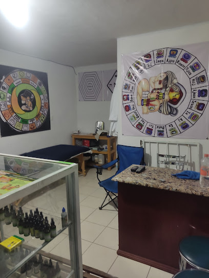 Consultas de Medicina tradicional y Herbolaria