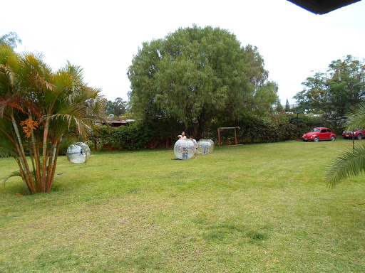 Quinta Tonalli - Thumbnail
