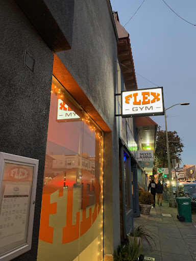 FLEX - Visual