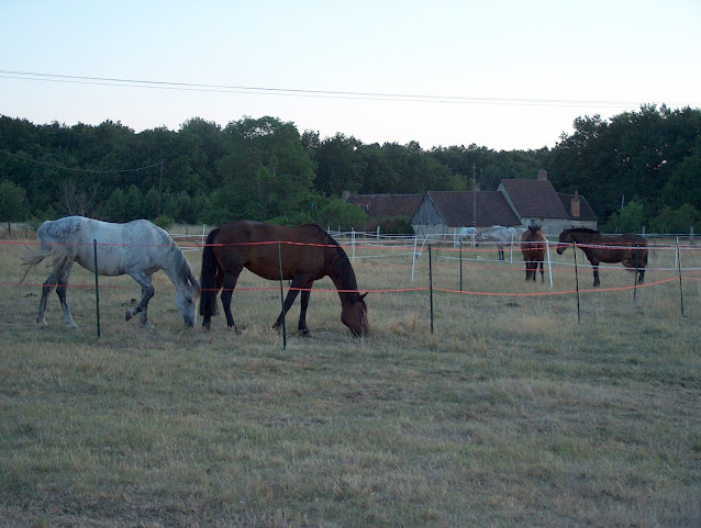 La Levraudière by null