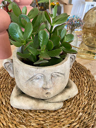 Photo n°47 de Nucifera à Noyers-sur-Cher (Fleuriste)