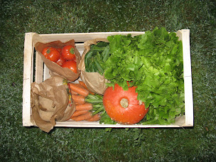 Photo n°16 de Destination Bio - Association Accord Bio à Saint-Hilaire-du-Harcouët (Naturopathe)