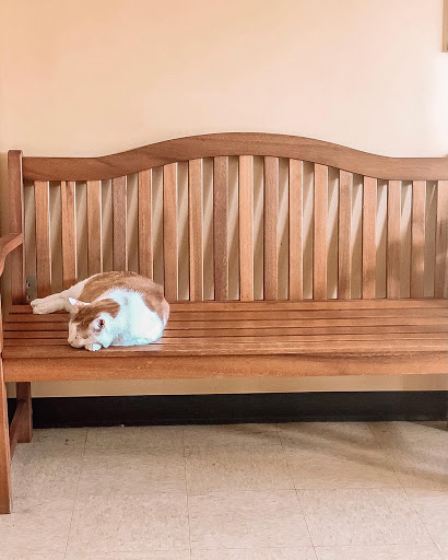 Swan Harbor Animal Hospital - Thumbnail