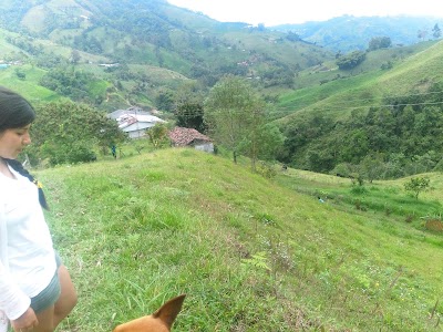 Photos of Asteya Retreat &bull; Eco Lodge and Nature Reserve