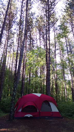 CASS LAKE LOOP - Visual