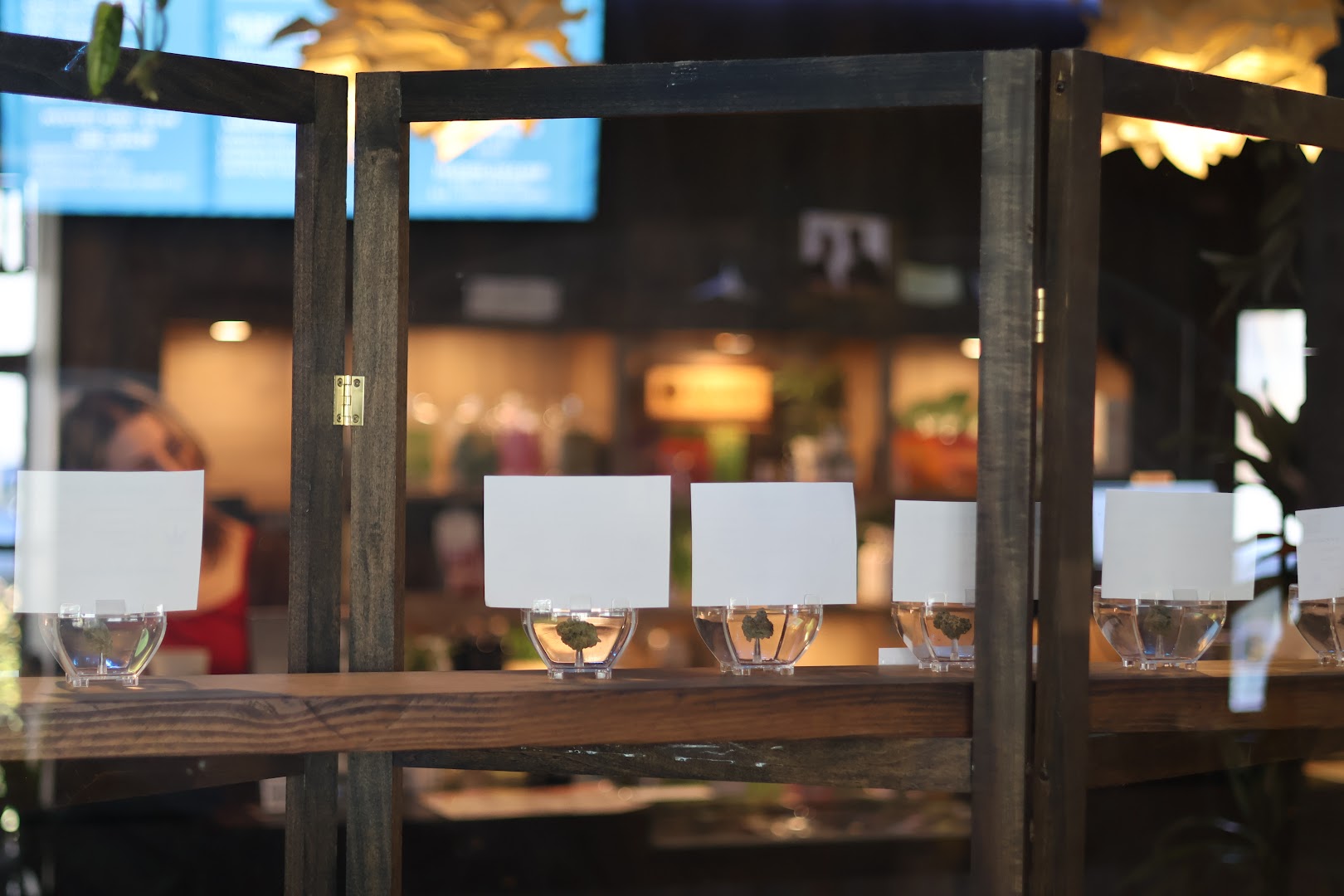 KANNA CBD | South End photo 1