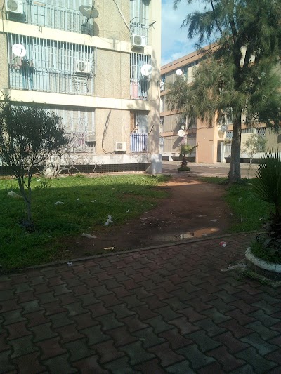 Photos of Bananiers. Blida