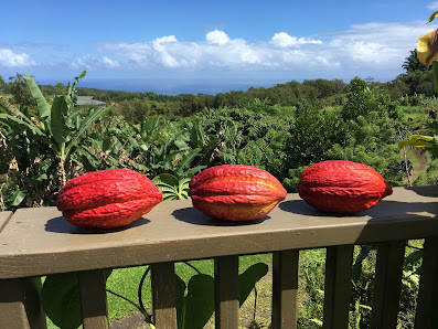 Kulike Farm 31-1081 Kulike Pl, Hakalau, HI 96710