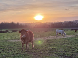 Photo n°3 de Les Relayeurs à Charny Orée de Puisaye (Épicerie)