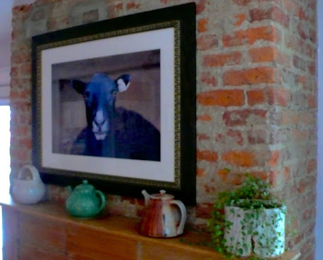 The Inn at Pine Plains by null