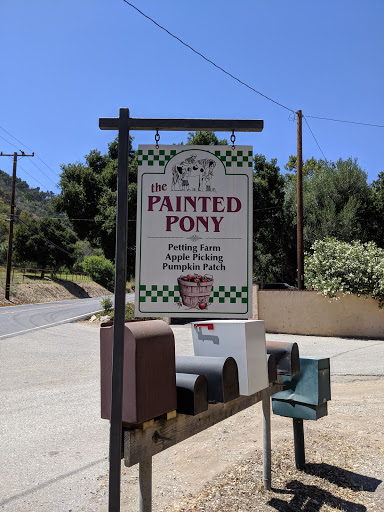 Painted Pony Gallery - United States
