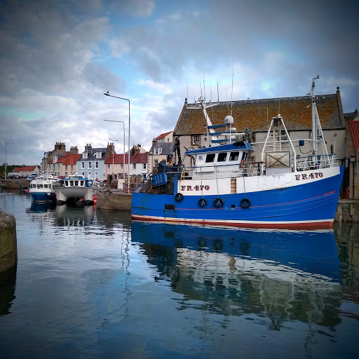 Pittenweem Fish & Chip Bar - Thumbnail