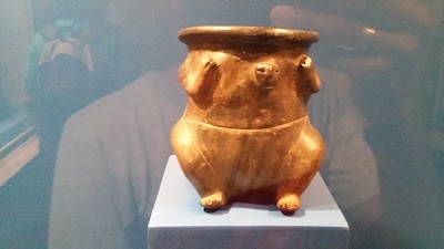 Photos of University Museum Center Caldas