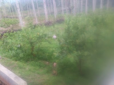 Photos of Villa Loji