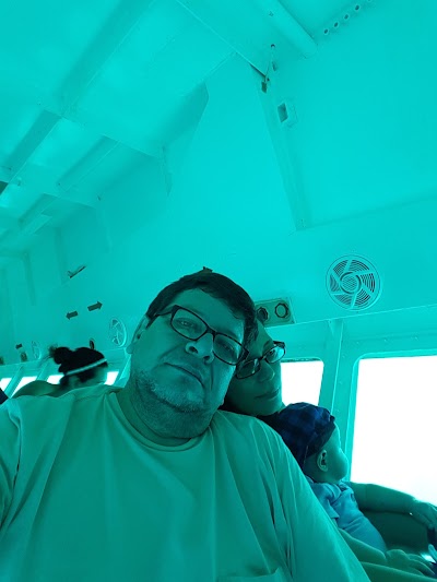 Photos of Mandy's Eel Garden