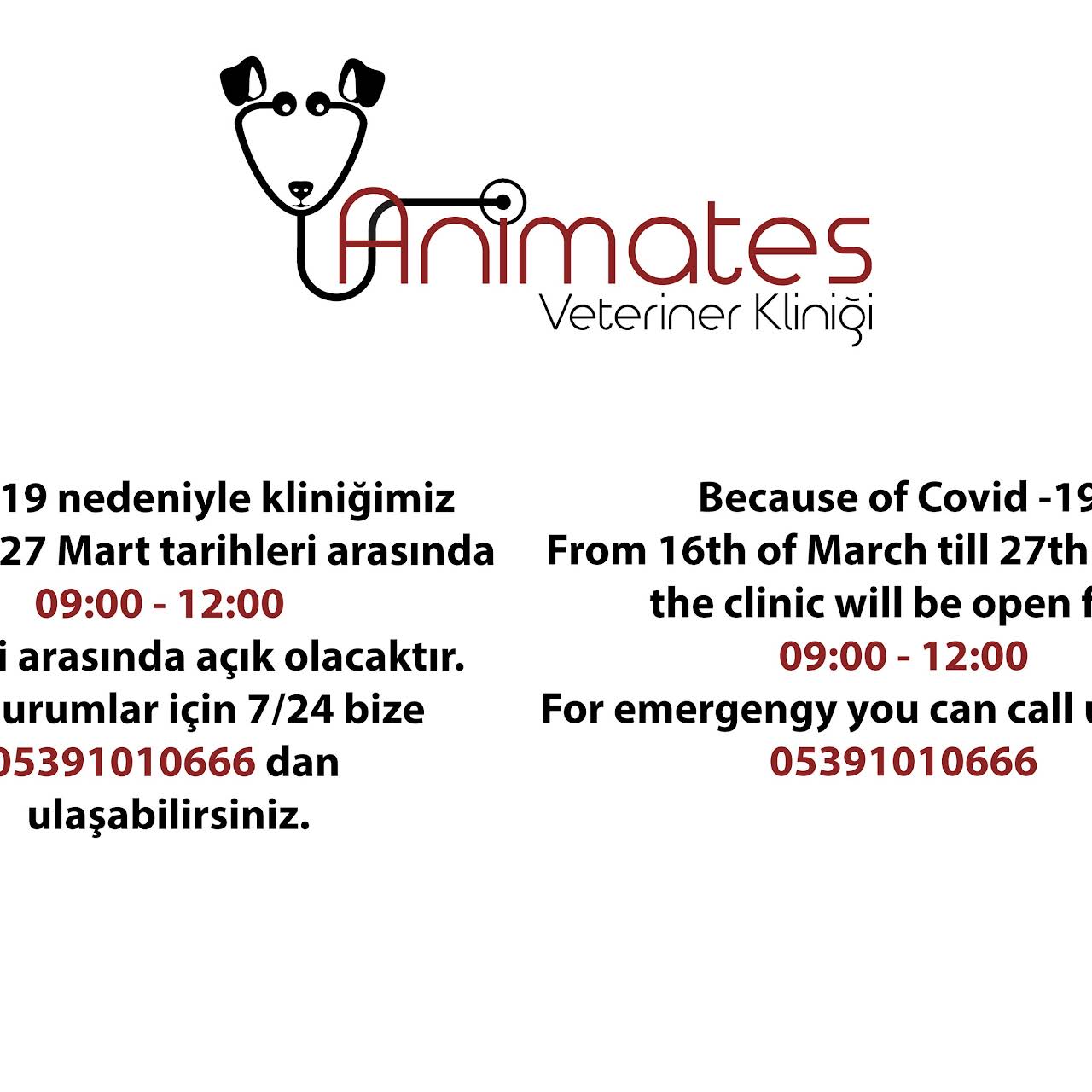 Animates Veterinary clinic Girne - Veterinarian in Ozankoy