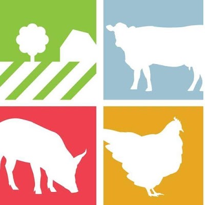 veterinary-care