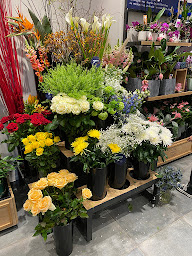Photo n°20 de MONCEAU FLEURS à Marseille (Fleuriste)
