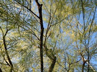 Landview(ランドビュー)四国中央市の不動産情報 売買·賃貸·空き家·売却 資産形成相談