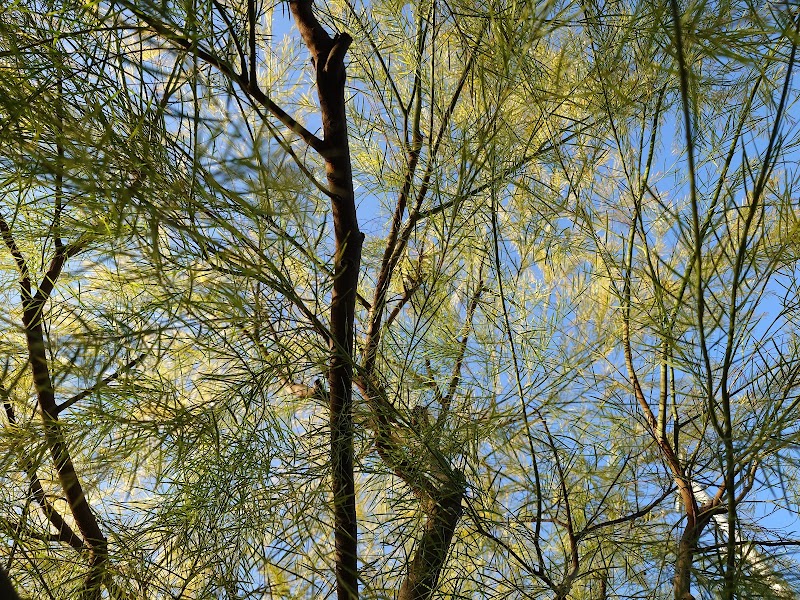 Landview(ランドビュー)四国中央市の不動産情報 売買·賃貸·空き家·売却 資産形成相談