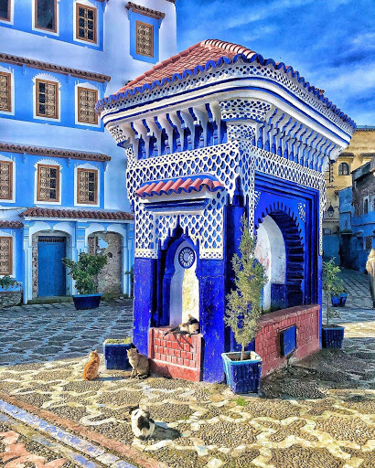 Visite Tours Excursions Transport From Fes