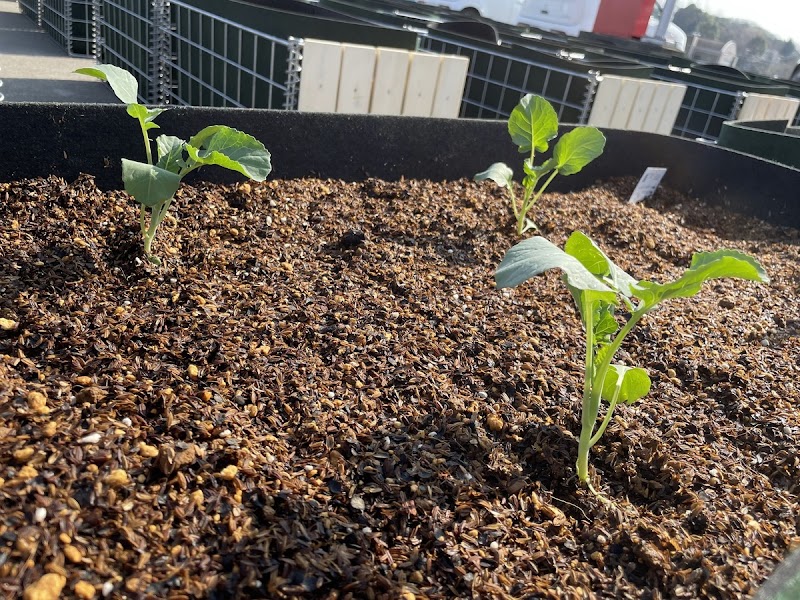 シェア畑garden 星が丘