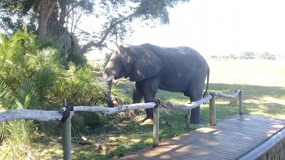 Photos of Jacana Camp