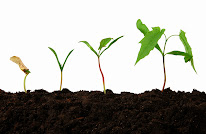 Compas Mancy à Mancy