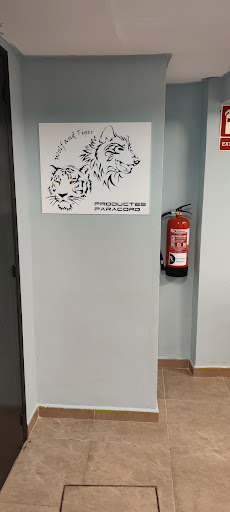 Wolf and Tiger - Visual