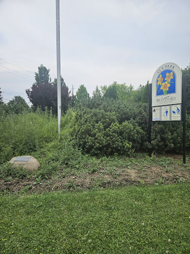 CJ's Park - Visual